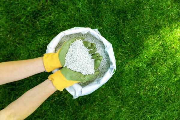 Lawn Repair Service