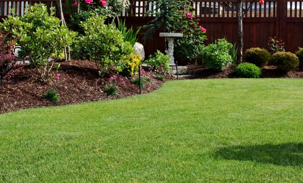 Lawn Repair