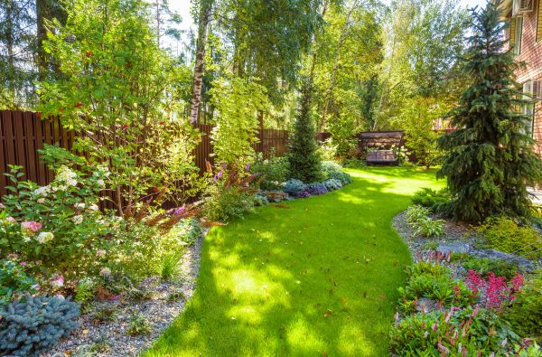Landscape Improvement