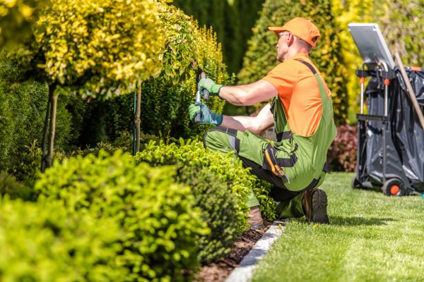 Yard Repair