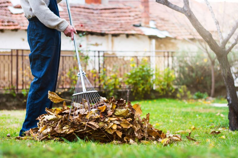 Leaf Removal Service