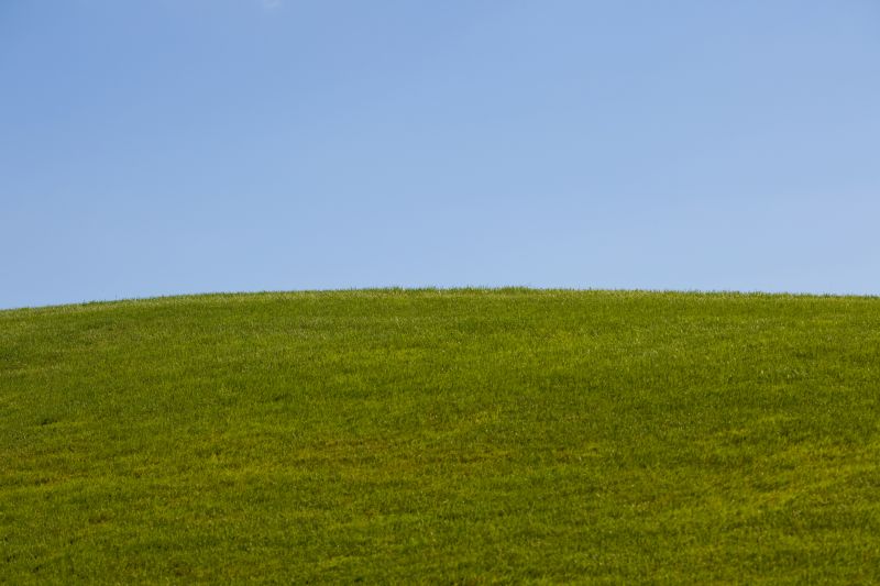 Landscape Restoration