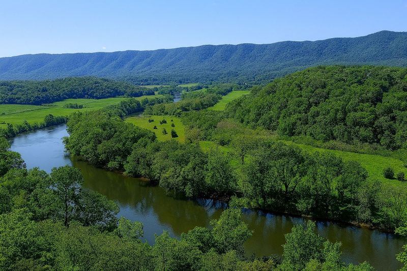 Landscape Restoration
